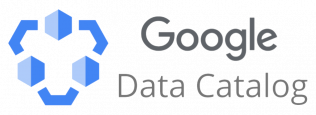 Google Data Catalog Logo